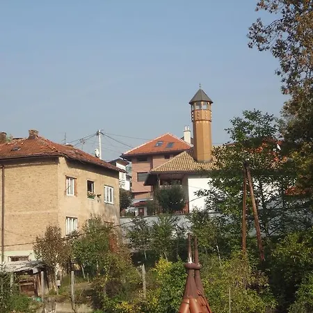 Saraj 6